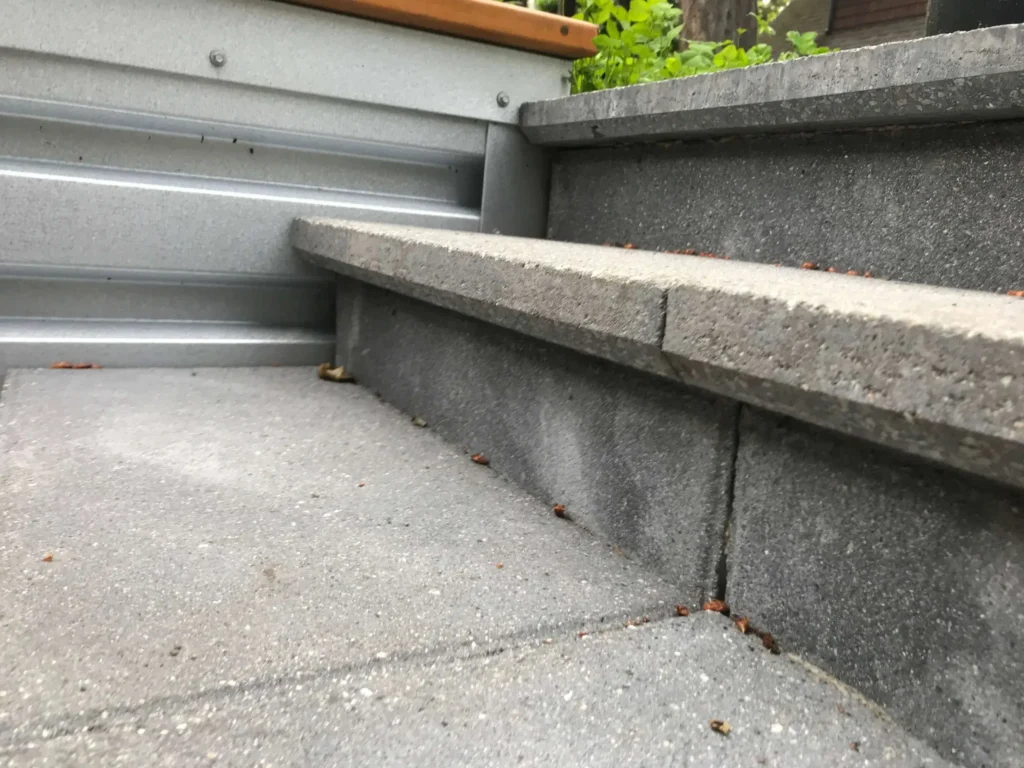 WOODWORKING AND LANDSCAPES SECTION 1