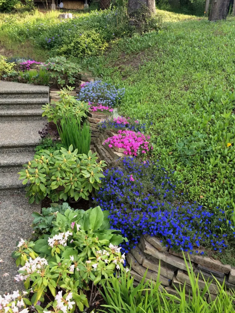 WOODWORKING AND LANDSCAPES SECTION 1