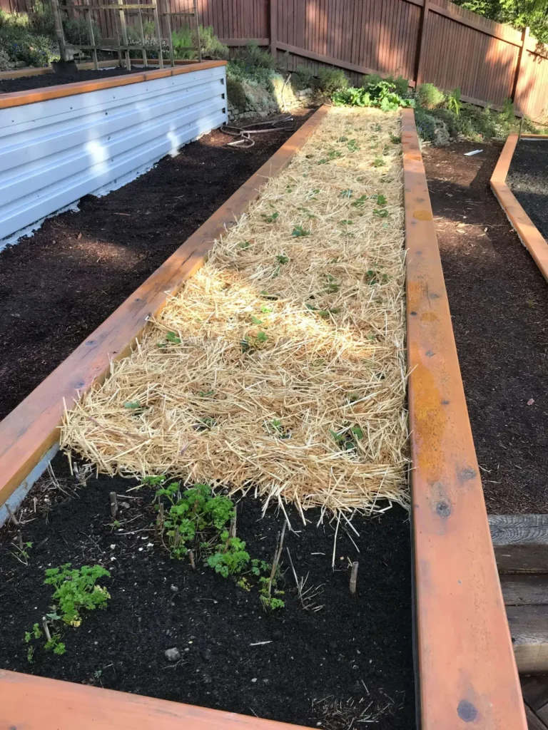 WOODWORKING AND LANDSCAPES SECTION 2