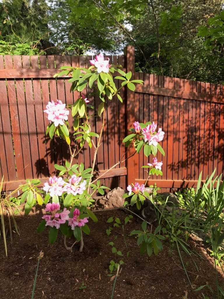 WOODWORKING AND LANDSCAPES SECTION 4