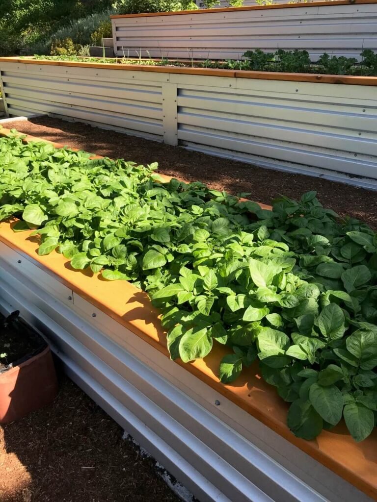 WOODWORKING AND LANDSCAPES SECTION 4