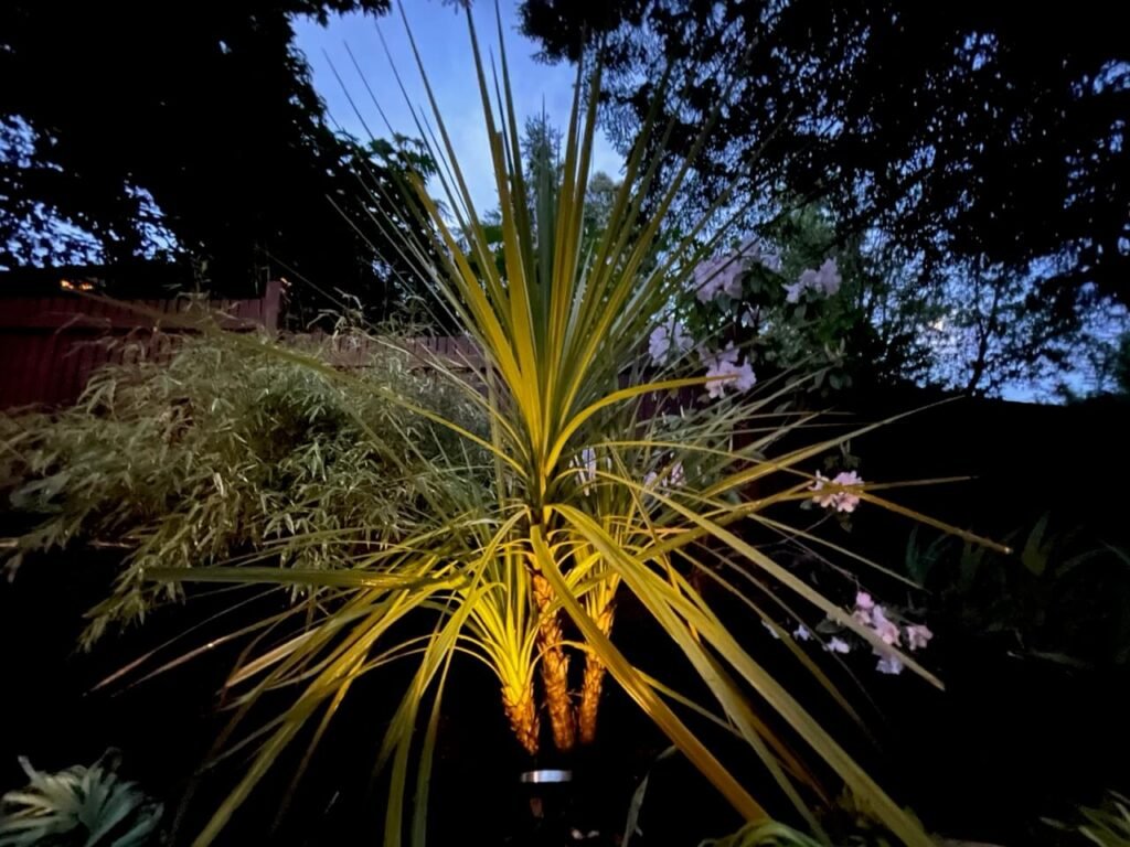 WOODWORKING AND LANDSCAPES SECTION 4